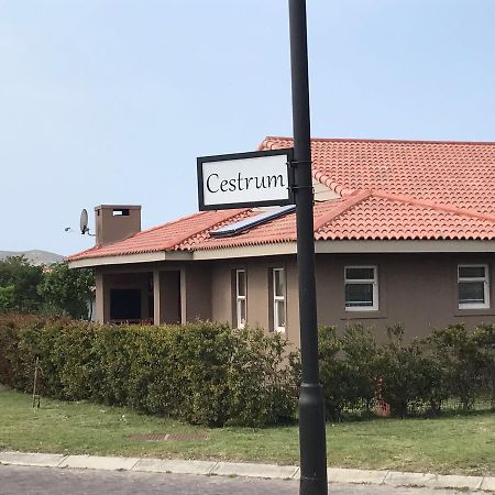 Ferienwohnung Whale Rock Gardens Plettenberg Bay Exterior foto